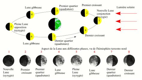 Les Phases De La Lune Page Pour L Impression 23232 | The Best Porn Website