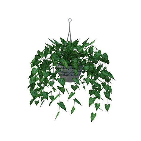 a potted plant with green leaves hanging from it's sides on a white ...