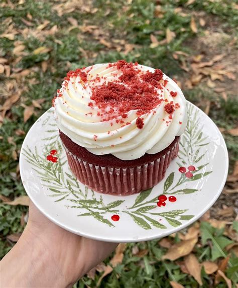 Costco red velvet mini cake for lunch! : r/Costco