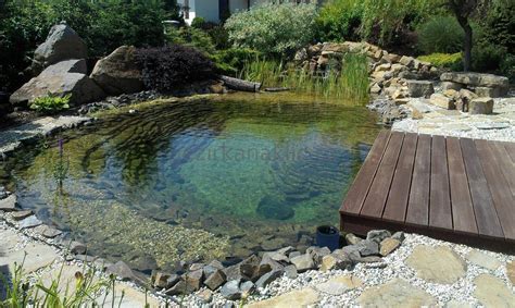 Tips for Building Ponds in Your Backyard | Pool landscaping, Backyard ...