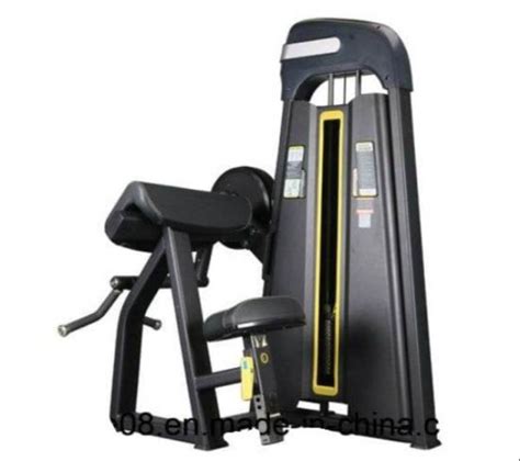 Preacher Curl Machine, For Gym, 200 kg Approx at Rs 32000 in Meerut | ID: 23442070255