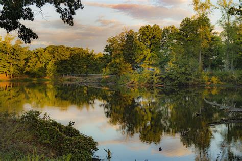 National Forests of Arkansas | Only In Arkansas