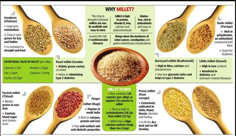 Millets: A Climate-Smart and Nutritious Food Choice