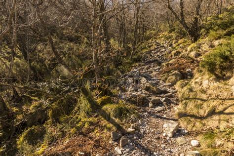 Muniellos Nature Reserve, Spain Stock Photo - Image of hike, biosphere ...