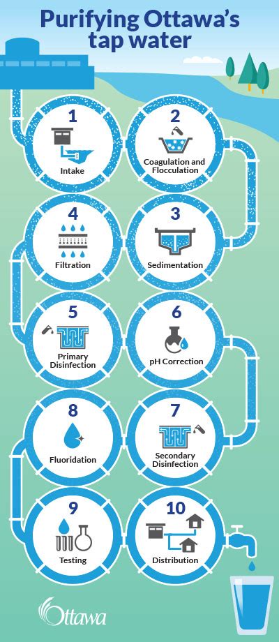 😍 Stages of water purification process. 7 Steps of Water Purification ...