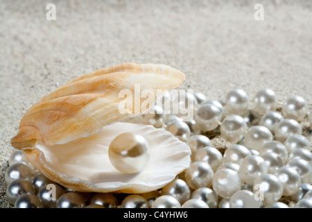 Caribbean pearl inside clam shell over white sand beach in a tropical turquoise sea Stock Photo ...