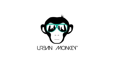 Urban Monkey Shark Tank India Deal, Turnover, Revenue, Owner Of The Glasses And Caps Company ...