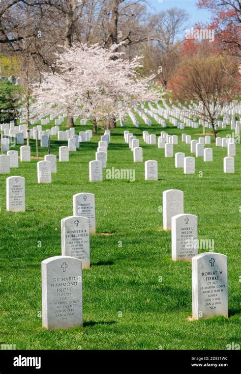 Arlington National Cemetery Stock Photo - Alamy