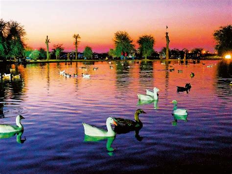 Camping near Al Qudra lake | Equipments for camping | Zad foodstores