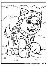 Coloring Pages Paw Patrol sketch template