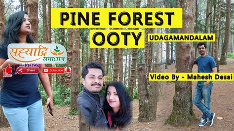 Pine Forest Ooty - YouTube