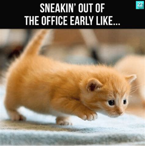 30 Funny Work Memes for Any Office Situation — Best Life