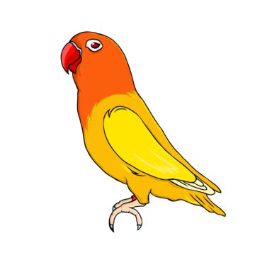 Lobet Bird PNG Transparent Images Free Download | Vector Files | Pngtree