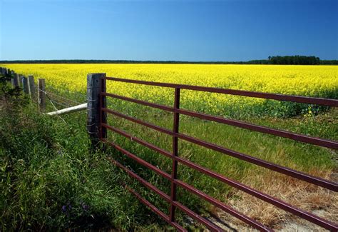 How to Install A Farm Gate?