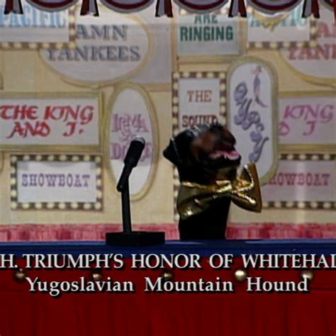 Triumph The Insult Comic Dog's First Appearance | Conan Classic