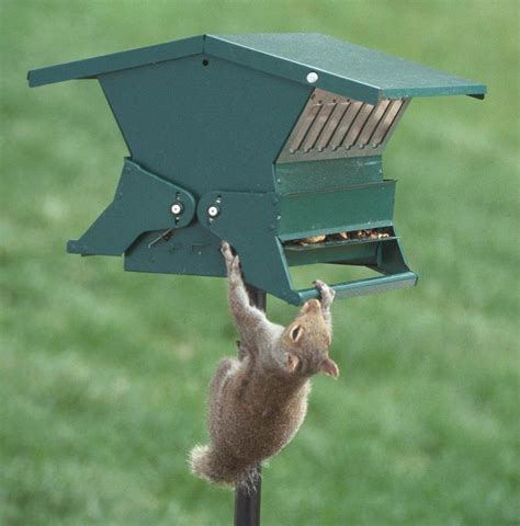 Heritage Farms Absolute II Squirrel Proof Bird Feeder