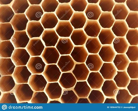 Close Up of Bee Hive Honey Bee Hexagonal Cells Stock Photo - Image of ...