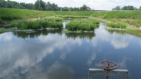 Floating Treatment Wetlands Show Promise as Pond Retrofit