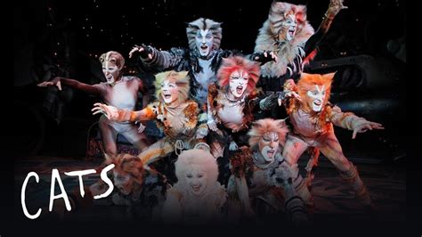 Free Listen to Cats (Musical) Soundtrack Songs Full Album Online With Download Links