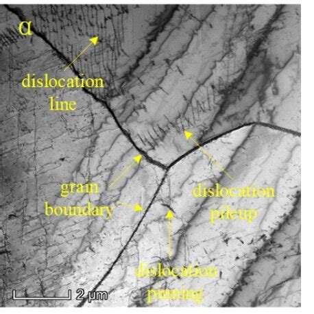 Microstructure of original austenite phase | Download Scientific Diagram