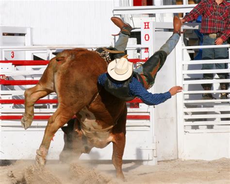 Toppenish Rodeo Returns This Weekend for Its 83rd Year