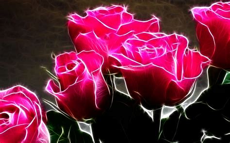 Roses images Hot Pink Roses HD wallpaper and background photos (11661786)