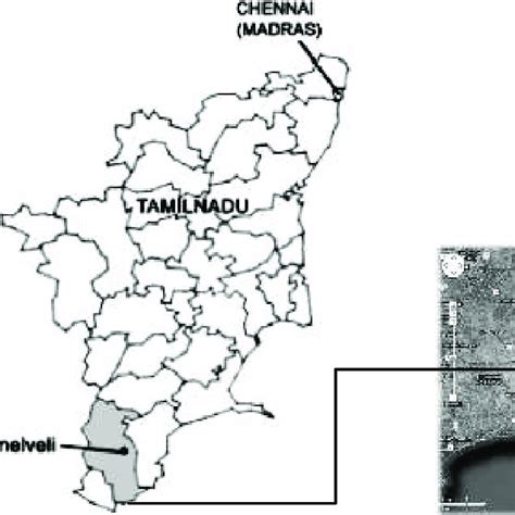 Coastal medicinal plants of the Tirunelveli District. | Download Scientific Diagram