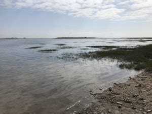 Enjoying the South Walney Island Nature Reserve - Adventures in Oceanography and Teaching