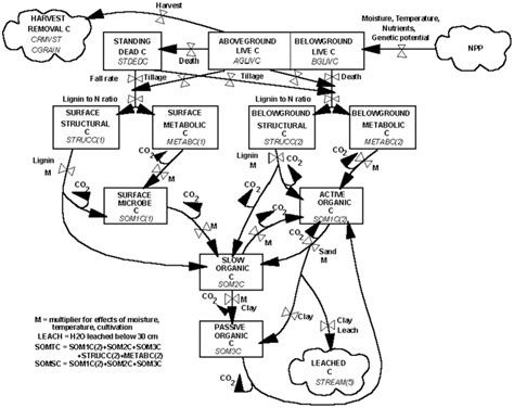 The pools and flows of carbon in the CENTURY model. The diagram showed... | Download Scientific ...