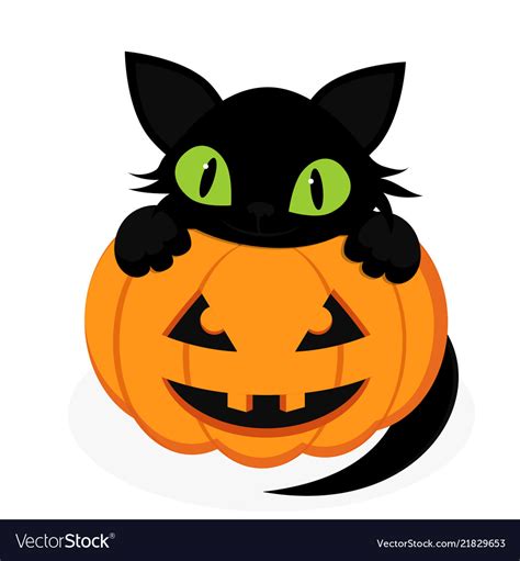 Black cat with pumpkin Royalty Free Vector Image