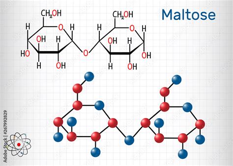 Maltose Structure Diagram