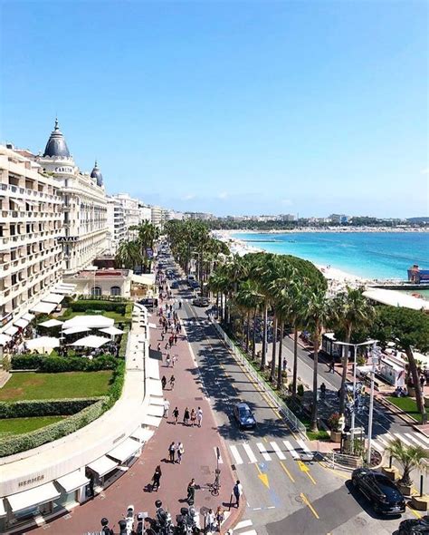 Cannes La Croisette 🌴 #Cannes @lilygoescoco | La croisette cannes, Paysage vacances, Côte d'azur