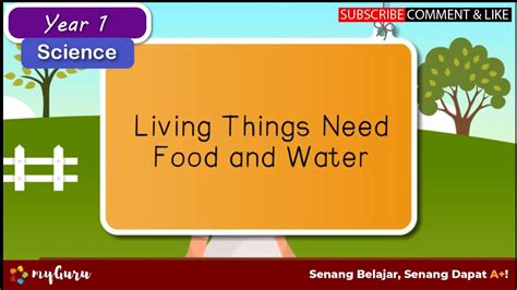 Year 1 | Science | Living Things Need Food and Water - YouTube