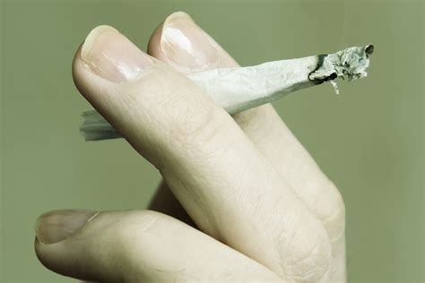 Confessions of a pot addict - Salon.com