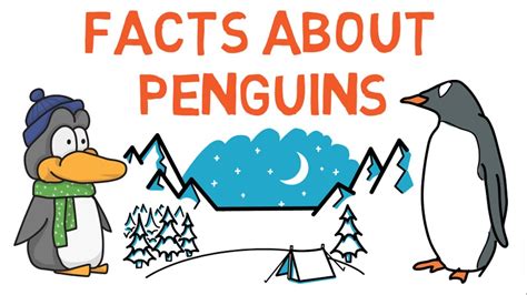 Interesting facts about penguins for kids - information about penguins ...