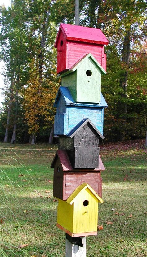 Corgis In My Garden: Whimsical Birdhouses