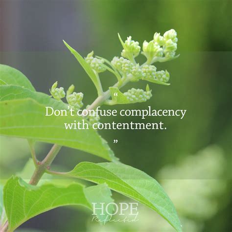 Wednesday Wisdom | Don't Confuse Complacency with Contentment - Hope Reflected