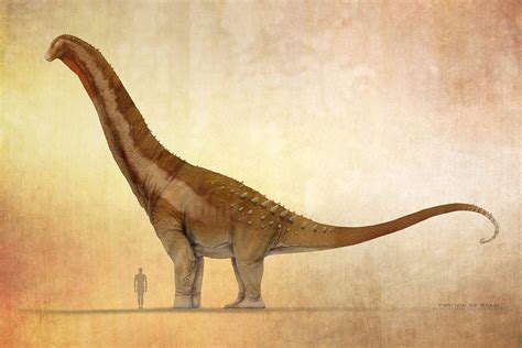 Profile view of Alamosaurus Prehistoric Wildlife, Prehistoric Creatures, Dinosaur Age, Paleo Art ...