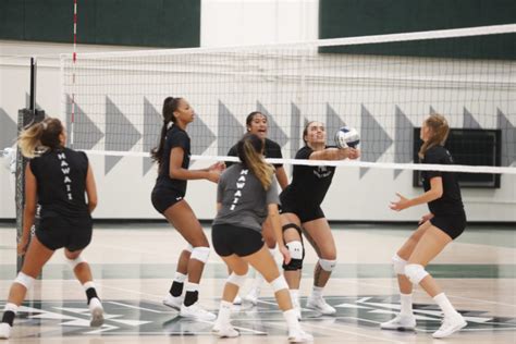 Hawaii women’s volleyball: Wahine receive votes in AVCA Top 25 – Hawaii Warrior World