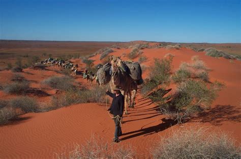 Simpson Desert Camel Trek (June 14 - 20) | Wild Women Journeys