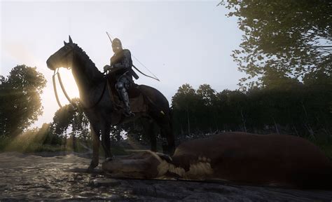 Hardcore Henry getting Skalitz PTSD from the mangled horses in Neuhof (he's wearing old plate ...