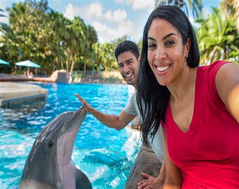 SeaWorld Dolphin Encounter | BOOK now for the best value