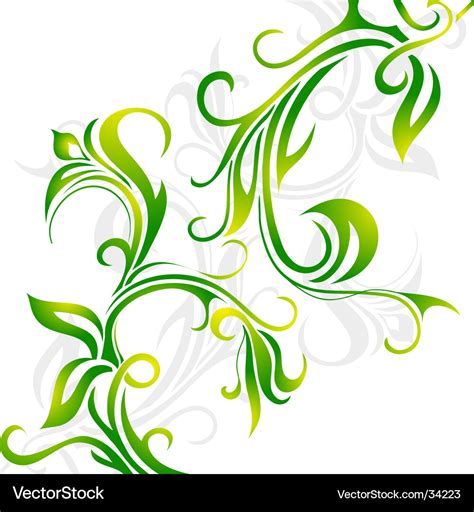 Floral vine Royalty Free Vector Image - VectorStock