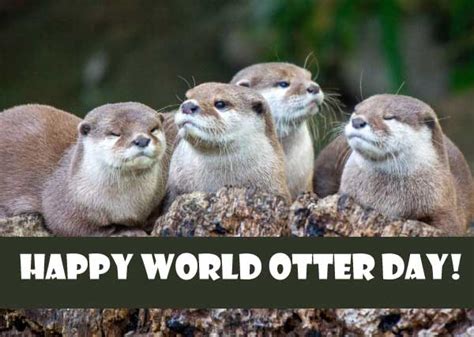 Otter Day