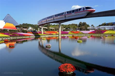 Brilliant Guide to Transportation at Walt Disney World | Skyliner ...