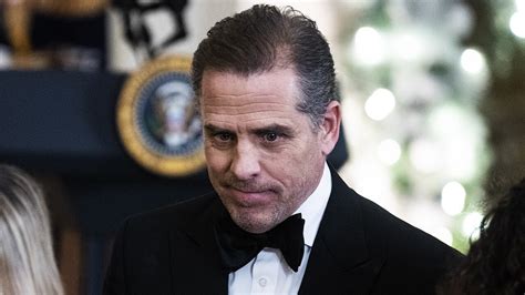 Hunter Biden investigations loom over Biden's re-election bid: Bill ...