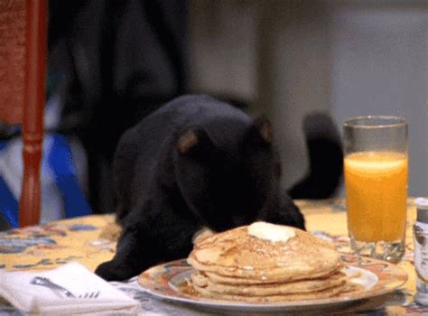 GIF pancakes black cat salem - animated GIF on GIFER - by Graniginn