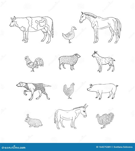 Vector Set of Hand Drawn Sketch Domestic Animals Stock Illustration - Illustration of character ...