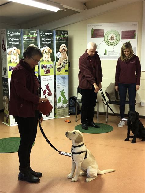 Hearing Dogs for Deaf People (@HearingDogs) | Twitter