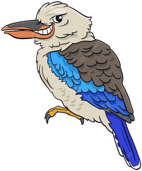 Cartoon Illustration Of Funny Kookaburra Bird Animal Character, Zoo, Cartoon, Nature PNG and ...